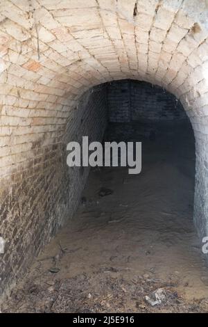 Escursioni attraverso una cantina vicolo in bassa Austria Foto Stock