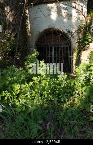 Escursioni attraverso una cantina vicolo in bassa Austria Foto Stock