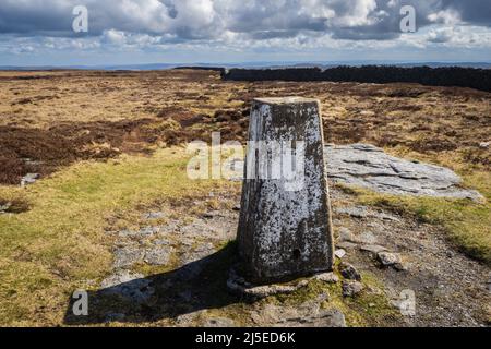 Il Trig Point sulla cima di Firth cadde e Birks cadde sopra la littondale nel Yorkshire Dales. Foto Stock