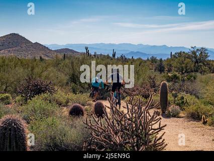 Mountain Bikers sul Desert Trail a Scottsdale, Arizona Foto Stock