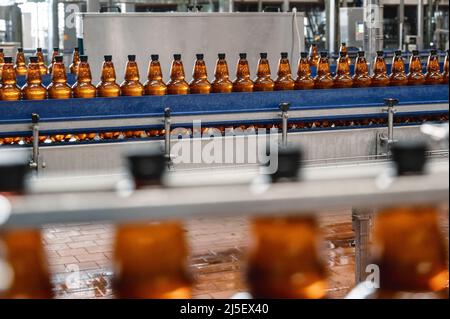 Bottiglie di plastica con birra filtrata leggera sul trasportatore. Foto Stock