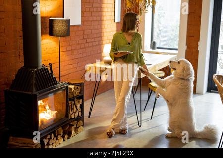 La donna lavora sul tablet digitale e si prende cura del suo cane a casa Foto Stock