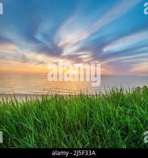 Tramonto composizione paesaggio. Cielo, mare e erba verde durante il tramonto. Foto Stock