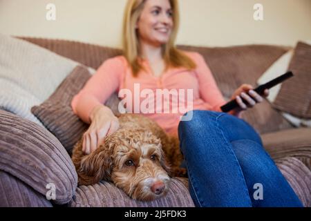 Donna con PET Cockapoo Dog rilassarsi sul divano guardando la TV a casa Foto Stock