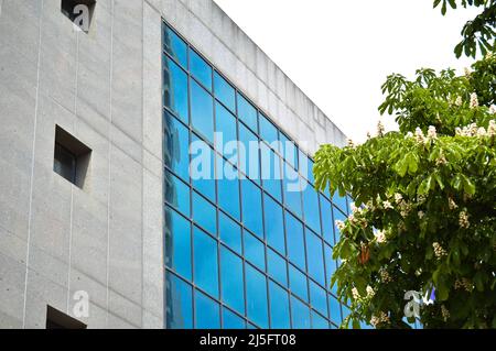 Business center, torre di vetro istituzionale, moderno edificio in vetro, business center con cielo blu Foto Stock