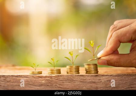 Mano che tiene una moneta con un albero sul tavolo, concetto di investimento, il denaro cresce. Foto Stock
