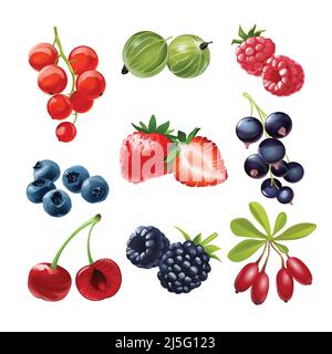 Serie di icone vettoriali di succulente bacche mature, ribes rosso e nero, uva passa, lamponi, fragole, mirtilli, ciliegie, more, goji Illustrazione Vettoriale