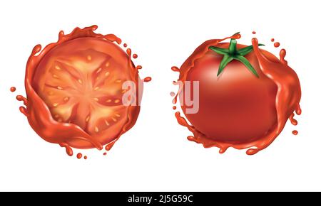 Set vettoriale realistico di due pomodori rossi maturi, verdure fresche intere e metà, con spruzzi di liquido intorno a loro. Cibo naturale e biologico per mangiare sano Illustrazione Vettoriale