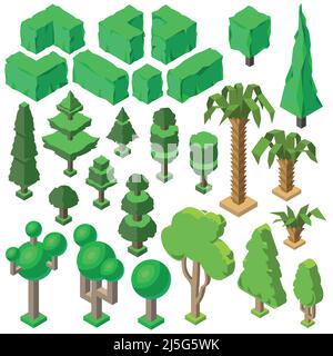Vettore 3D piante isometriche, alberi, cespugli verdi, abeti, palme e pini. Oggetti natura, ambiente. Ecologia, parco naturale, elementi forestali, botanica Illustrazione Vettoriale