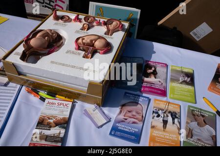 Edimburgo, Scozia, 23rd aprile 2022. La letteratura e l'esposizione di Pro-Life, come gli attivisti Pro-Life e Pro-Choice si affrontano attraverso Lothian Road, il giorno anniversario della legge sull'aborto 1967 che diventa legge. Un disegno di legge privato membersÕ è stato proposto al Parlamento scozzese per fermare la campagna contro Pro-Life al di fuori degli ospedali. A Edimburgo, Scozia, 23 aprile 2022. Foto Stock