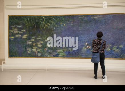 Parigi, Francia, Europa: visitatore di fronte alle ninfee, famosa serie di pannelli decorativi di Claude Monet al Musee de l'Orangerie Foto Stock