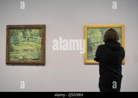 Parigi, Francia, Europa: visitatore di fronte alle ninfee, famosa serie di pannelli decorativi di Claude Monet al Musee de l'Orangerie Foto Stock