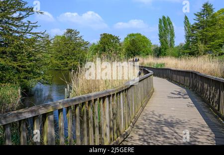 Dulwich Village, Londra, Regno Unito: Passeggiata sul lago a Dulwich Park. Dulwich Park è un parco pubblico nel sud di Londra. Foto Stock