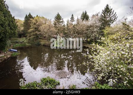 Laghetto/lago del Buckatree Hall Hotel a Wellington, Telford, vicino al Wrekin Foto Stock