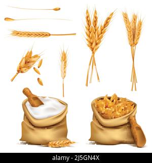 Vector Set sacchetti di tela realistici pieni di cereali o cereali, farina, spikes. Raccolto di grano, segale, orzo, avena. 3d illustrazioni, stampa, elemento di disegno Illustrazione Vettoriale