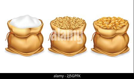 Sacchi di canvas realisticamente assortiti di cereali, farine, raccolti di frumento, segala, orzo, oat, orzo. 3d illustrazioni, stampa, elemento di disegno Illustrazione Vettoriale