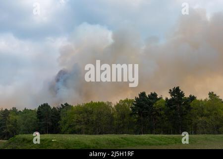 Ceneri, Surrey, Inghilterra, Regno Unito. 23rd aprile 2022. Un grande fuoco di brughiera è scoppiato su Ash Ranges, che una riserva naturale heathland ovest di Pirbright in Surrey. È di proprietà del Ministero della Difesa e gestito dal Surrey Wildlife Trust. Foto Stock