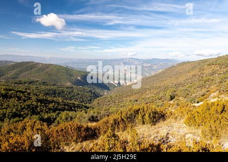 Riserva naturale di Boumort, Lleida, Spagna Foto Stock