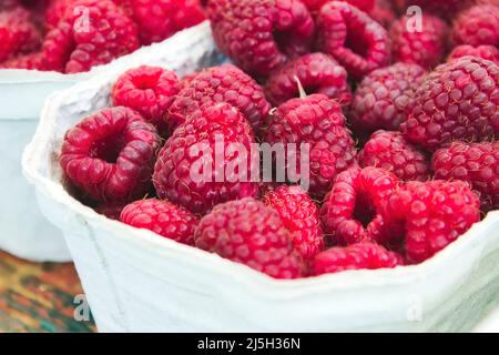 Primo piano di un contenitore di lamponi freschi, rossi e maturi in un mercato alimentare all'aperto Foto Stock