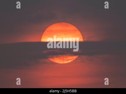 Wimbledon, Londra, Regno Unito. 23 aprile 2022. Macchie solari visibili verso il tramonto. In alto al centro AR2995. Credit: Malcolm Park/Alamy Live News Foto Stock