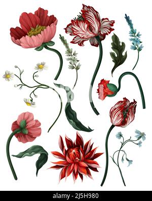 Fiori botanici vittoriani e insetti isolati. Tulipano, peonia e altro. Illustrazione Vettoriale