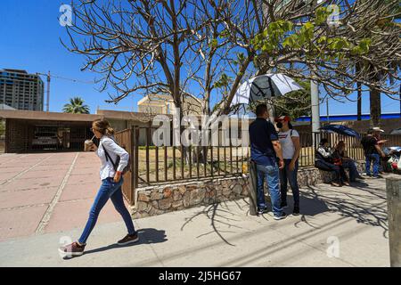 HERMOSILLO, MESSICO - 06 GIUGNO: Molti anziani aspettano il loro turno all'ombra per votare alle urne poste all'interno di un'aula raffreddata a caldo nella rurale la Victoria a sonora il 6 giugno 2021 a Hermosillo, Messico. Un numero record di 93,5 milioni di cittadini oggi possono votare nelle elezioni più grandi della storia del paese. saranno eletti 500 deputati, governatori in 15 stati e 20.000 autorità locali. Durante la campagna, 35 candidati sono stati segnalati assassinati. (Foto di Luis Gutierrez/ Norte Photo/) Foto Stock