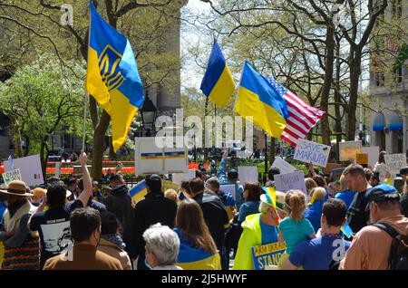 New York, Stati Uniti. 23rd Apr 2022. Centinaia di persone si riuniscono al Bowling Green Park di New York per stare in solidarietà con l'Ucraina il 23 aprile 2022. (Foto di Ryan Rahman/Pacific Press) Credit: Pacific Press Media Production Corp./Alamy Live News Foto Stock