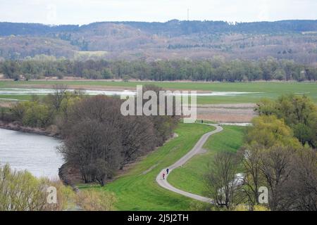 19 aprile 2022, Brandeburgo, Schwedt/OT Schöneberg: Vista dal punto panoramico Richterberg ai margini del villaggio di Stützkow nel Parco Nazionale bassa Valle dell'Oder verso il fiume Oder. Il parco nazionale ha una superficie di circa 10.300 ettari ed è stato fondato nel 1995. Qui si possono trovare innumerevoli specie animali e vegetali rare. Il parco nazionale è anche ben sviluppato per i turisti su sentieri escursionistici e ciclabili. Foto: Soeren Stache/dpa/ZB Foto Stock