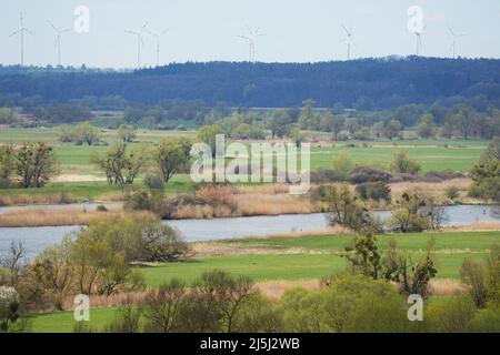 19 aprile 2022, Brandeburgo, Schwedt/OT Schöneberg: Vista dal punto panoramico Richterberg ai margini del villaggio di Stützkow nel Parco Nazionale bassa Valle dell'Oder verso il fiume Oder. Il parco nazionale ha una superficie di circa 10.300 ettari ed è stato fondato nel 1995. Qui si possono trovare innumerevoli specie animali e vegetali rare. Il parco nazionale è anche ben sviluppato per i turisti su sentieri escursionistici e ciclabili. Foto: Soeren Stache/dpa/ZB Foto Stock