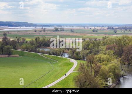 19 aprile 2022, Brandeburgo, Schwedt/OT Schöneberg: Vista dal punto panoramico Richterberg ai margini del villaggio di Stützkow nel Parco Nazionale bassa Valle dell'Oder verso il fiume Oder. Il parco nazionale ha una superficie di circa 10.300 ettari ed è stato fondato nel 1995. Qui si possono trovare innumerevoli specie animali e vegetali rare. Il parco nazionale è anche ben sviluppato per i turisti su sentieri escursionistici e ciclabili. Foto: Soeren Stache/dpa/ZB Foto Stock