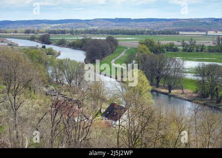 19 aprile 2022, Brandeburgo, Schwedt/OT Schöneberg: Vista dal punto panoramico Richterberg ai margini del villaggio di Stützkow nel Parco Nazionale bassa Valle dell'Oder verso il fiume Oder. Il parco nazionale ha una superficie di circa 10.300 ettari ed è stato fondato nel 1995. Qui si possono trovare innumerevoli specie animali e vegetali rare. Il parco nazionale è anche ben sviluppato per i turisti su sentieri escursionistici e ciclabili. Foto: Soeren Stache/dpa/ZB Foto Stock