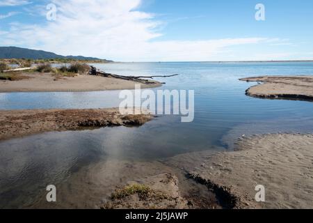 Piscine di marea, Paraparaumu Beach, Kapiti District, Isola del Nord, Nuova Zelanda Foto Stock