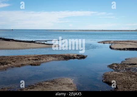 Piscine di marea, Paraparaumu Beach, Kapiti District, Isola del Nord, Nuova Zelanda Foto Stock