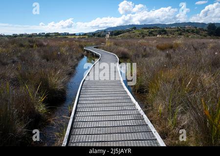 Passerella sulla zona umida, Paraparaumu, Kapiti District, Isola del Nord, Nuova Zelanda Foto Stock