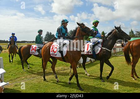 KUMARA, NUOVA ZELANDA, 8 GENNAIO 2022; i jockey rifanno i loro montaggi al cerchio dei vincitori dopo una gara al concorso Gold Nuggets al Kumara Foto Stock