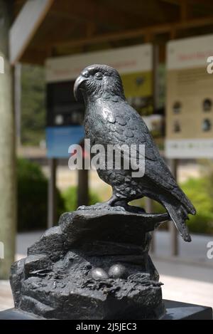 Statua di un kea, il pappagallo alpino Nestor notabilis, a Arthur's Pass isite, Nuova Zelanda Foto Stock