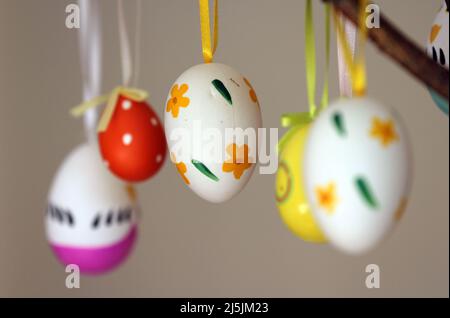 Uova di Pasqua visualizzate sul ramo Foto Stock