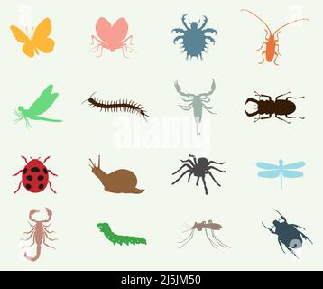 Variopinti insetti e bug vettore icona set Illustrazione Vettoriale