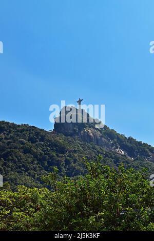 Foresta pluviale tropicale con Monte Corcovado sullo sfondo, Rio de Janeiro Foto Stock