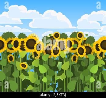 Il girasole cresce in campo. Raccolto pianta agricola. Ripetizione senza giunture. Il cibo è un prodotto della produzione di olio di girasole. Paesaggio rurale estivo campo. F Illustrazione Vettoriale