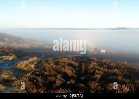 È caduto corridore ignooso allo specter di broccen del fotografo su Ilkley Moor mentre corre fuori dalla valle piena di nebbia sotto. Ilkley, Yorkshire Regno Unito meteo phe Foto Stock