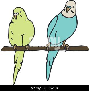 Illustrazione vettoriale di due budgerigari colorati e raffigurati da una linea. Pappagalli disegnati a mano seduti sul ramo. Illustrazione Vettoriale