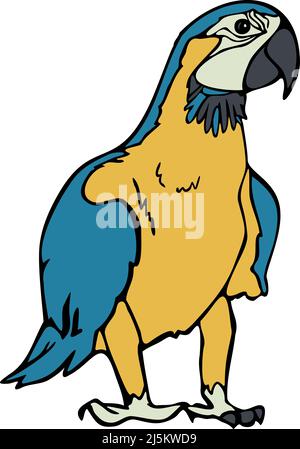 Illustrazione vettoriale del macaw disegnato a mano. Pappagallo colorato e raffigurato da una linea. Illustrazione Vettoriale