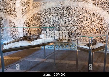 Due cadaveri essiccati, uno dei quali è un bambino, in vetrine all'interno della Capela dos Ossos (Cappella delle ossa) a Evora, Porugal. Foto Stock