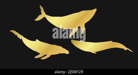Balena d'oro set, cachalot, narcale, unicorno-pesce, balena killer, simbolo di balena bianca o balena spermatica su sfondo nero. ClPart illustrer. Vettore oro Illustrazione Vettoriale