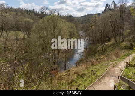 Il fiume Allen, dal sentiero con escursionisti tra gli alberi. Vicino a Bardon Mill, Northumberland, Regno Unito. Foto Stock
