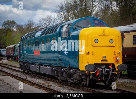 Ex BR Classe 55 'Deltic', 55019 chiamato 'Royal Highland Fusilier' che opera nella stazione di Wirksworth, sulla ferrovia della Valle di Ecclesbourne. Foto Stock