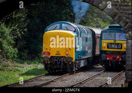 Ex BR Classe 55 'Deltic', 55019 chiamato 'Royal Highland Fusilier' che opera nella stazione di Wirksworth, sulla ferrovia della Valle di Ecclesbourne. Foto Stock