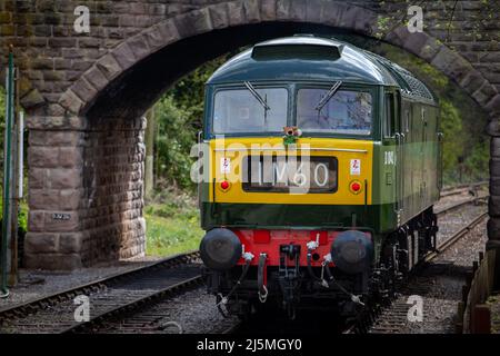 Ex BR Classe 47 D1842, ex 47192, che opera sulla ferrovia della Valle di Ecclesbourne 2022.. Foto Stock