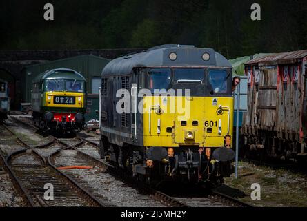 Ex BR Classe 55 'Deltic', 55019 chiamato 'Royal Highland Fusilier' che opera nella stazione di Wirksworth, sulla ferrovia della Valle di Ecclesbourne. Foto Stock